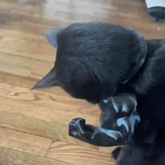 Muscle Cat Arms