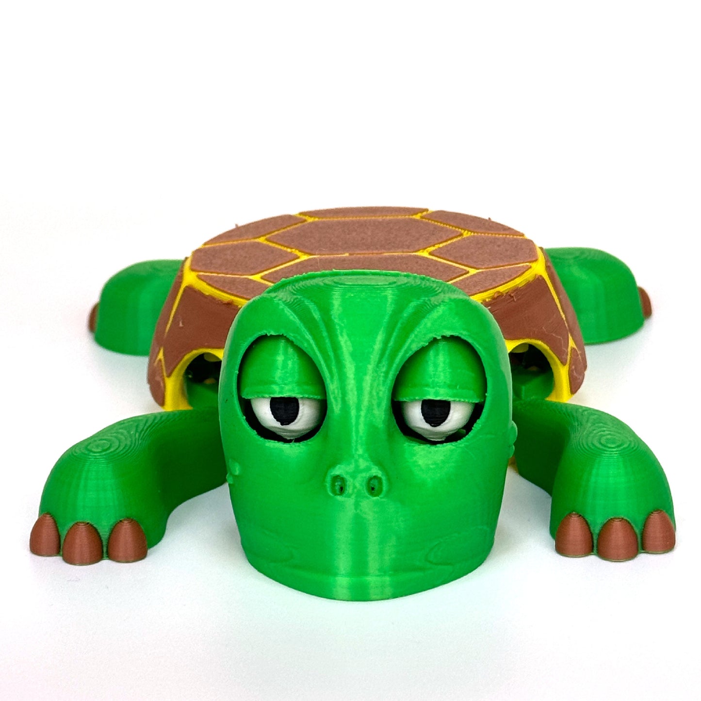 Mr.Turtle Coaster