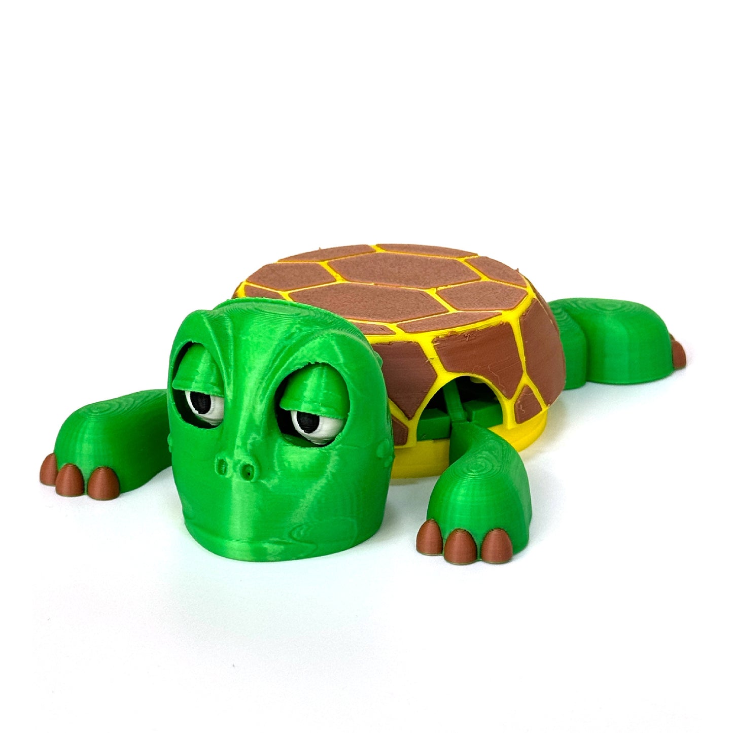 Mr.Turtle Coaster