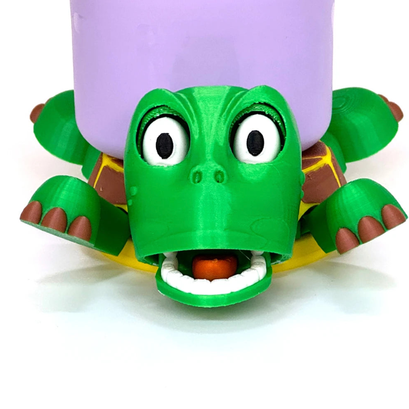 Mr.Turtle Coaster