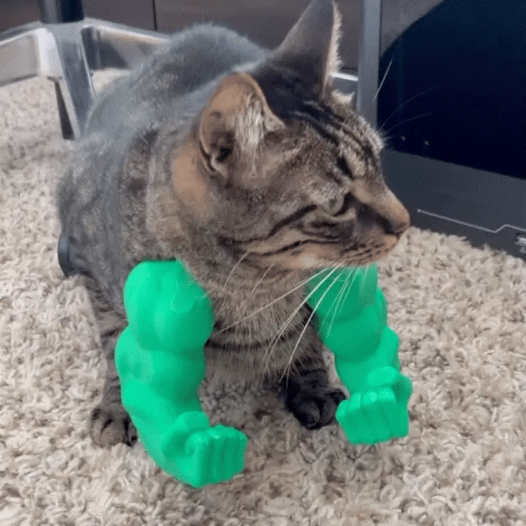Muscle Cat Arms