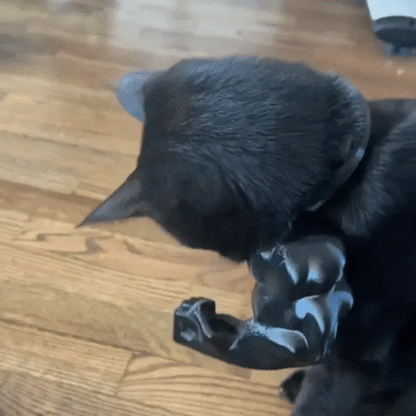 Muscle Cat Arms