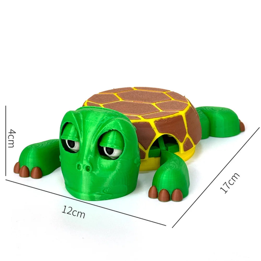 Mr.Turtle Coaster